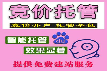 揭秘竞价SEM托管案例背后的策略